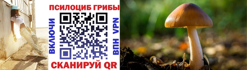 Галлюциногенные грибы GOLDEN TEACHER Купить Бугуруслан